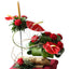 Exotica Red Art