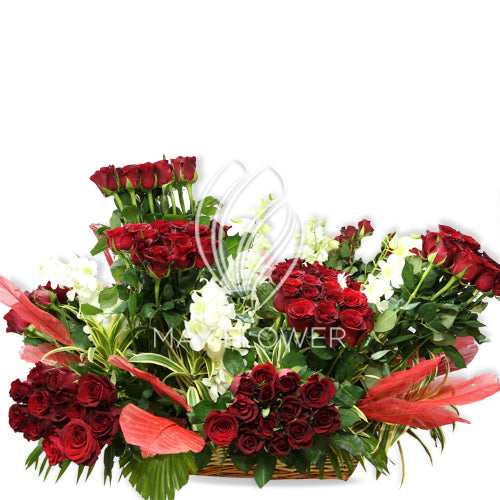 Red Rose Garden