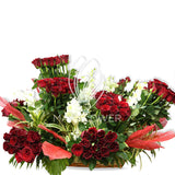 Red Rose Garden