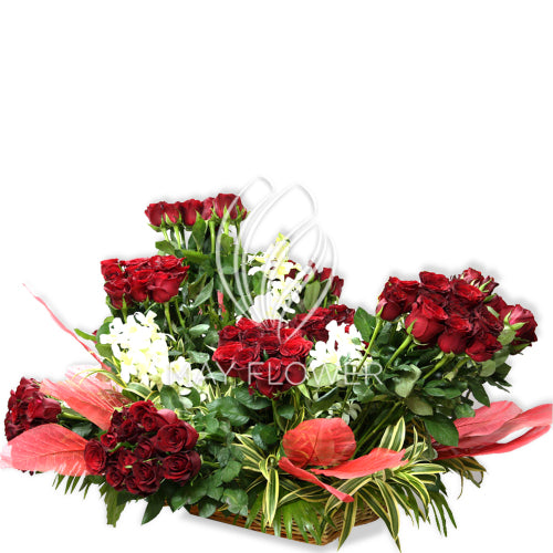 Red Rose Garden