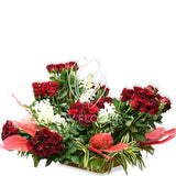 Red Rose Garden