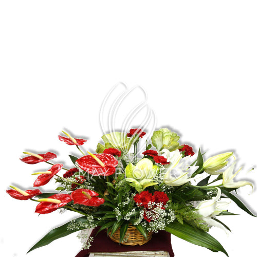 Red White Mixture Basket Main image