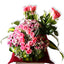 Pink Rose Pastel