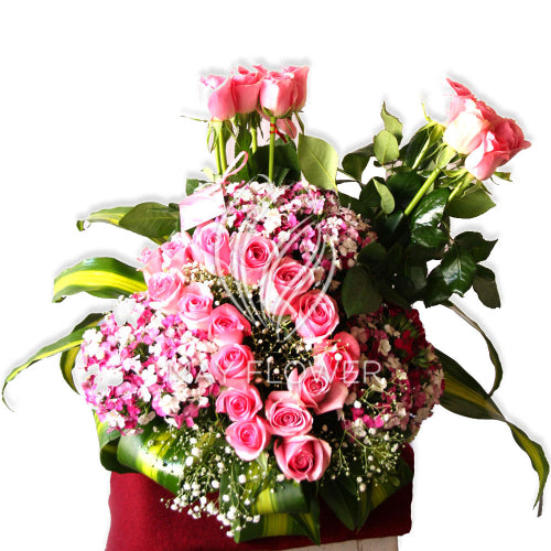 Pink Rose Pastel