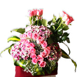 Pink Rose Pastel