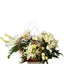 White Splash Floral
