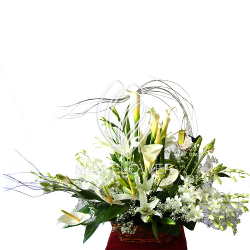 White Art Florals Main image