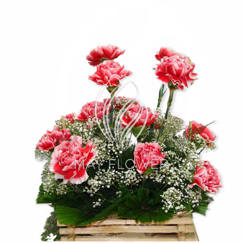Fresh Carnations Main image