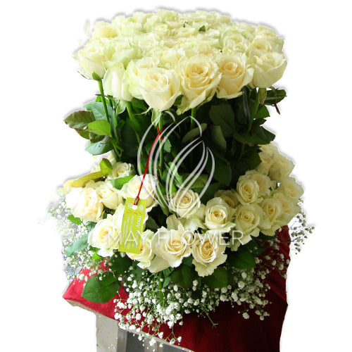 Mega White Tower Roses