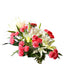 Strawberry Pink Florals