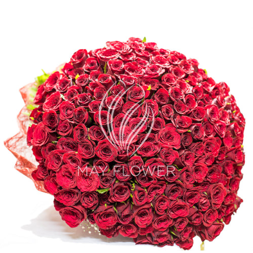 200 Red Rose Bunch Main image