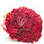 200 Red Rose Bunch