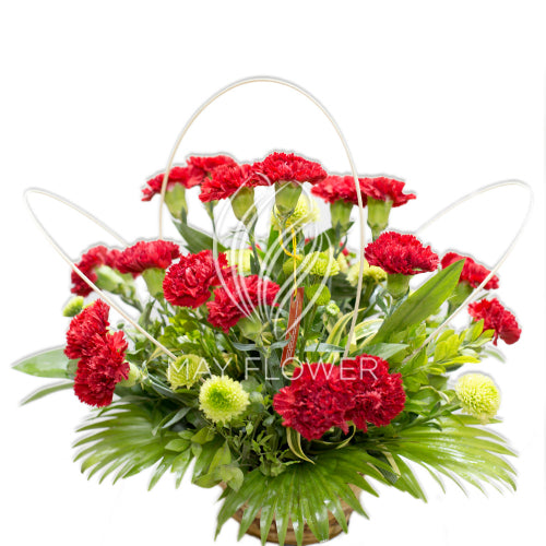 Solitary Carnation Basket Main image