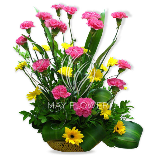 Carnations Daisies Basket Main image