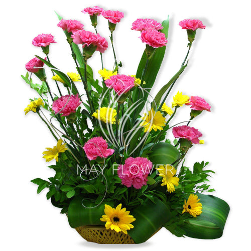 Carnations Daisies Basket