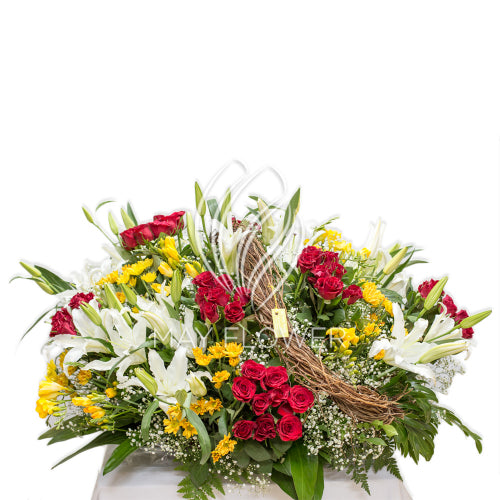 Red And White Floral Splash Main image