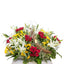 Red And White Floral Splash