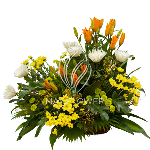 Radiant Blooms Basket