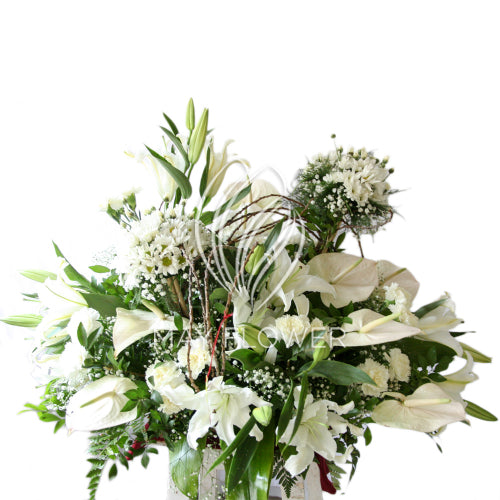 White Poised Florals Main image