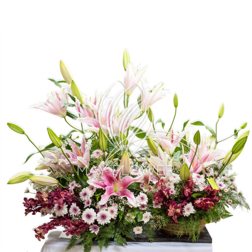 Exotic Floral Spread Main image