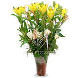 Assorted Vase Arrangement