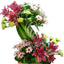 Twin Tier Florals