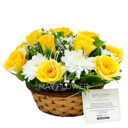 Compact Rose Blooms Main image