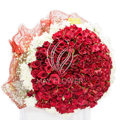 250 Red Rose Bunch Main image