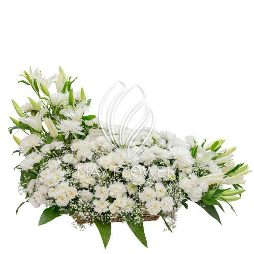 White Graceful Florals