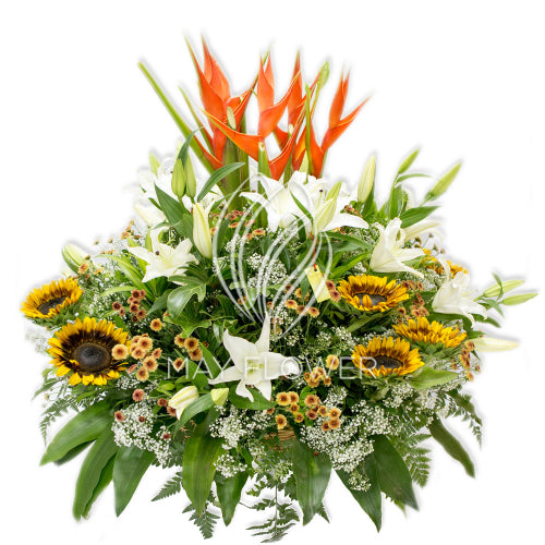 Mega Dazzle Flowers