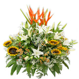 Mega Dazzle Flowers