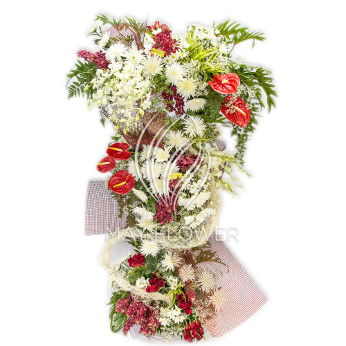 Giant Extravagance Main image