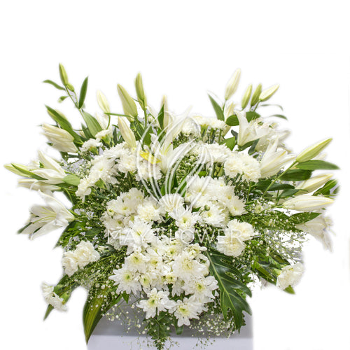 Noble Serene Florals