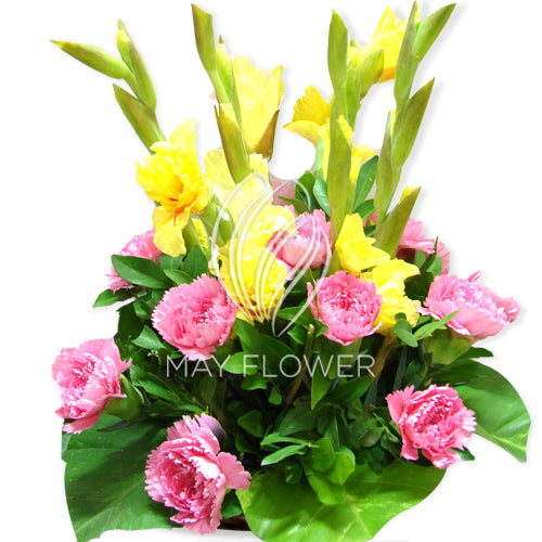Carnations and Gladioli Main image