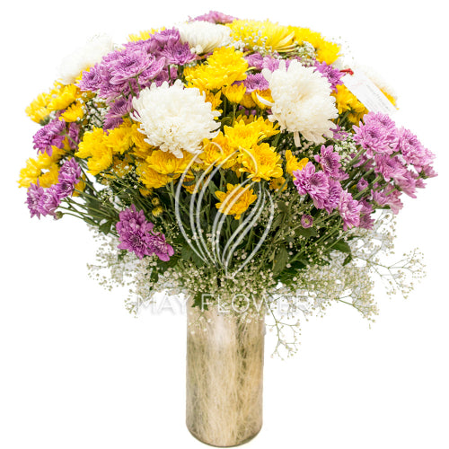 Chrysanthemum Magnificence Secondary image