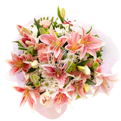 Lily Blossoms Main image