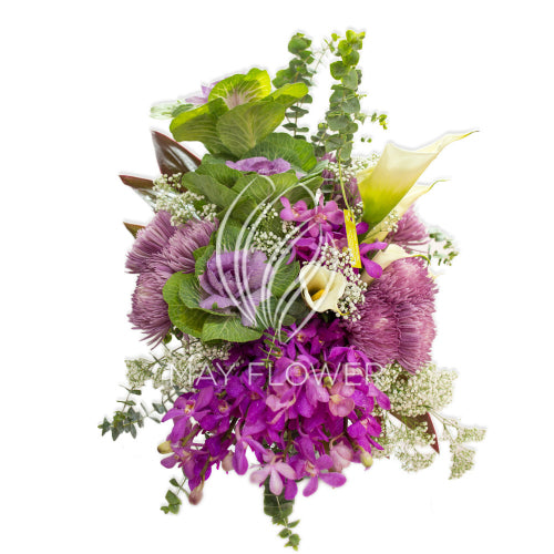 Purple Velvet Passion Main image