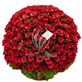 500 Red Roses