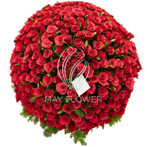 500 Red Roses Bouquet – May Flower
