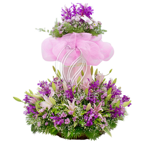 Purple Paramour Main image