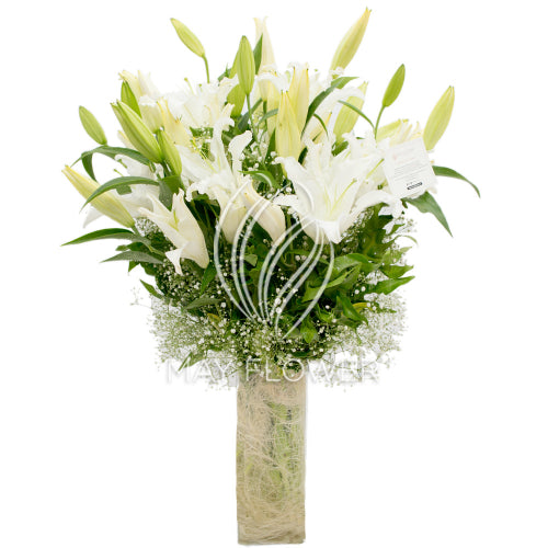 Lily Spectacle Secondary image
