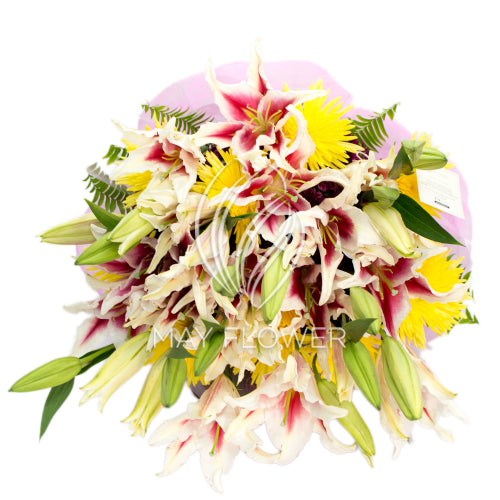 Lily Magnificence Secondary image