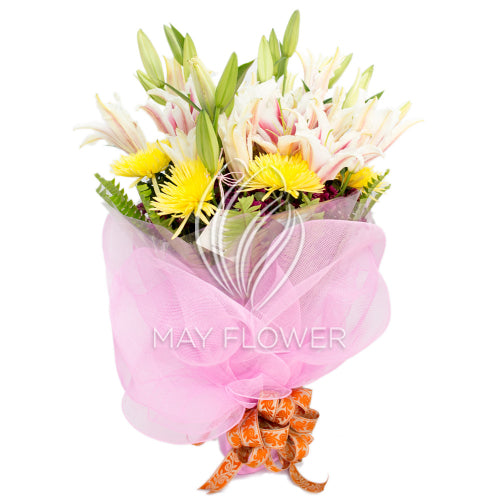 Lily Magnificence Main image