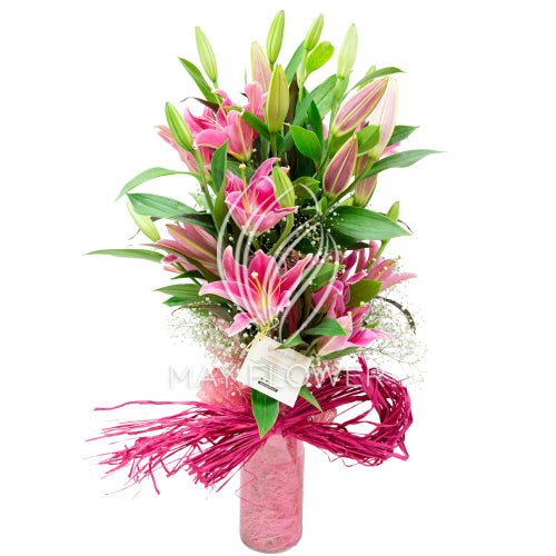 Lily Romance Main image