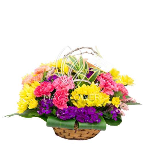 Petite Colourful Florals Main image
