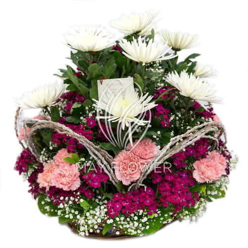 Distinct Floral Delight Main image