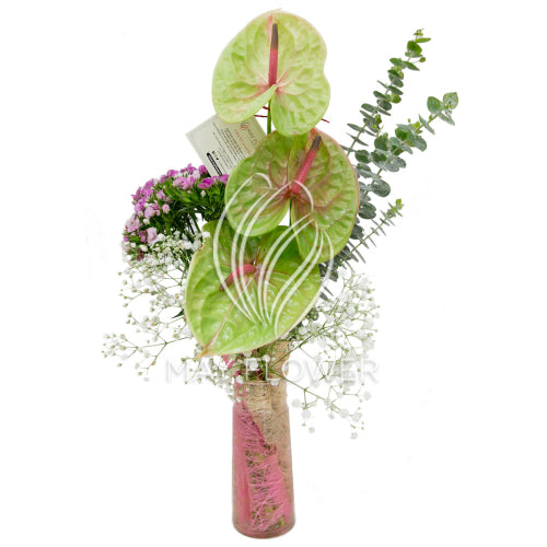 Exquisite Pastels Main image