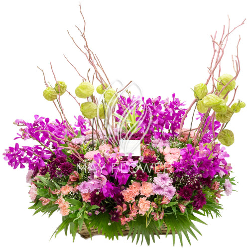 Lilac Efflorescence Main image