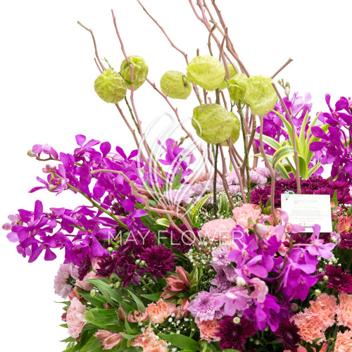 Lilac Efflorescence