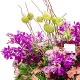 Lilac Efflorescence
